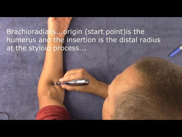 Meridian Pen, Electric Acupuncture pen and how it works.