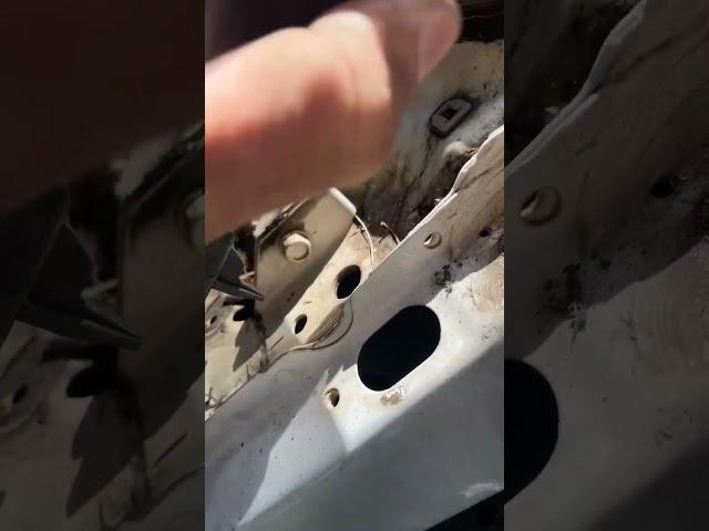 Nissan navara metallic rubbing sound engine bay d22 help me please