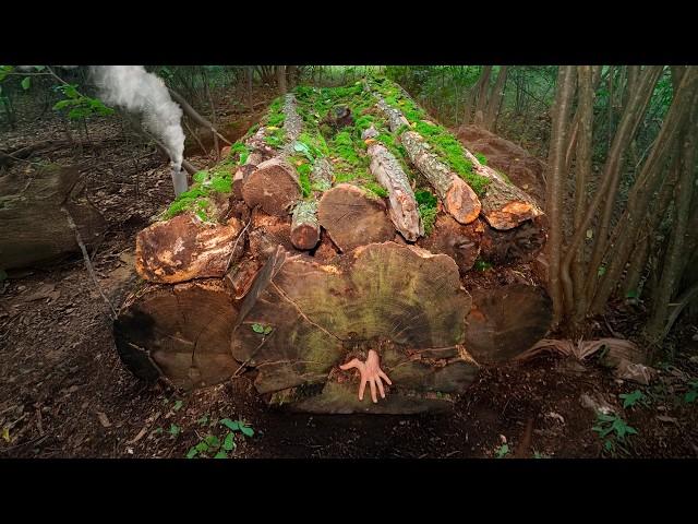 The most secret survival shelter. Warm and cozy Bushcraft dugout