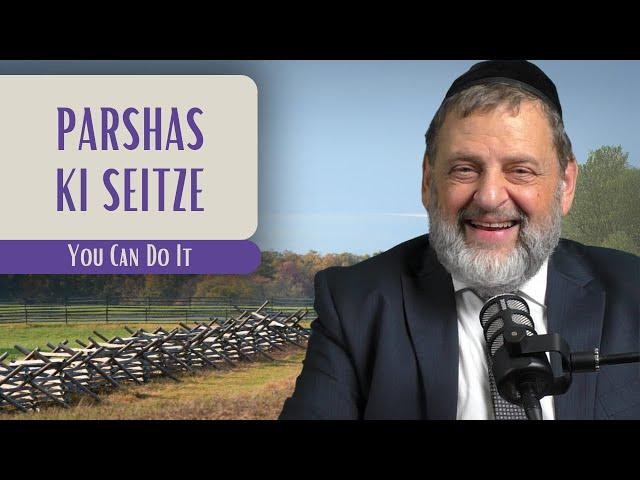 Ki Seitze - You Can Do It | Rabbi Dovid Orlofsky