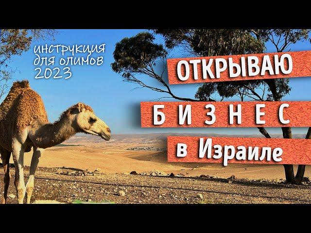 КАК открыть свой БИЗНЕС в Израиле новому репатрианту. МОЙ ОПЫТ
