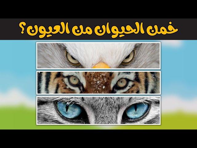 تحدي عن الحيوانات | خمن الحيوان من عيونه ​​​