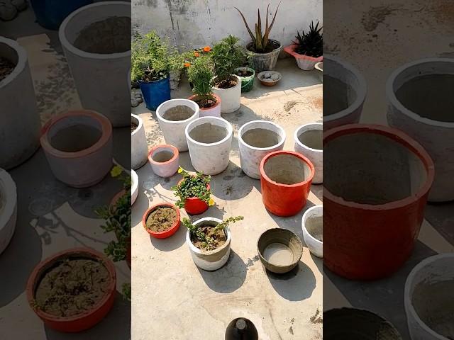 https://youtu.be/GWyDoq3DhgY?si=eur9BOBbxj39ximO jaise dekhiy #gardening #gamle