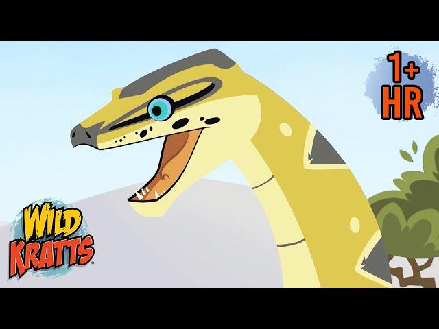 The Food Chain Game | NEW | Wild Animal Cartoons for Kids | Wild Kratts | 9 Story Kids