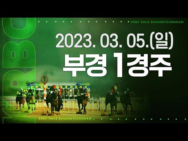 (부산)‘23.3.5.1R 두바이 원정 좀 가자는데 칼잡이와 망치가 쫓는 형국!