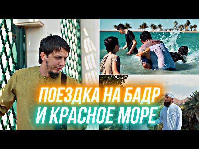 БАДР | КРАСНОЕ МОРЕ | ТАУБА ТУР | Исмаиль Абу Мухаммад | Мухаммад Абу Усама | Мохамед Хамед