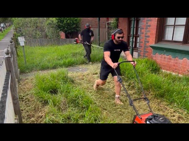 When NRL legend Josh Mansour helped me out cleaning 3 parts of this overgrown garden