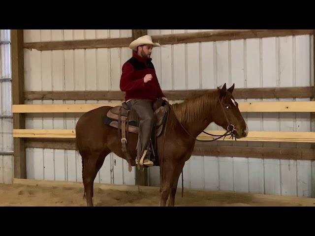 Enhance Your Horse's Gaits with One Simple Exercise
