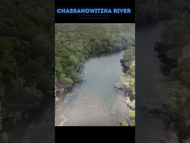 Adventure Awaits at the Chassahowitzka River: Virtual Visit