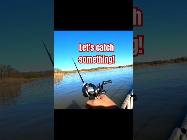 Let's Catch Fish, Ultralight Baitcasting Style! #fishing #ultralightfishing #bfsfishing