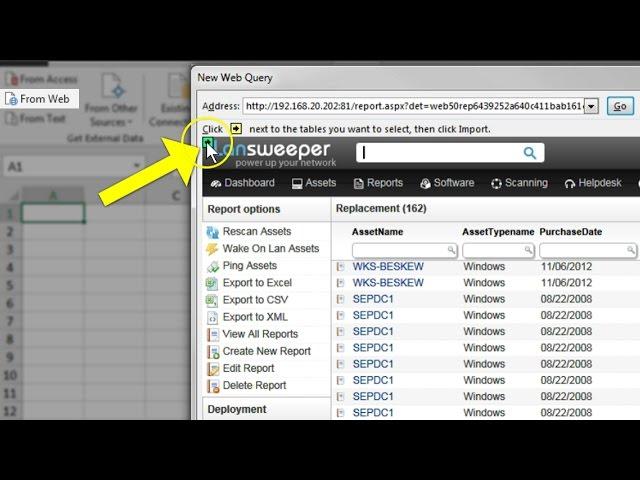 Link LanSweeper report to Excel