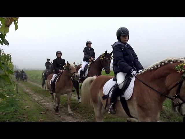 Leonhardiritt Guntersberg bei Höslwang 2024