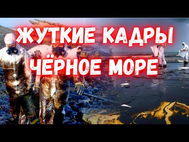 Мазутный апокалипсис в Чёрном море! Впереди десятилетия борьбы  Самое крупное экологическое бедствие