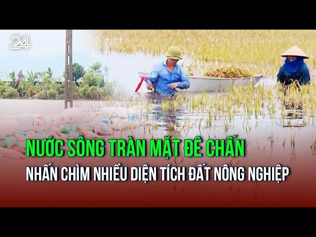 Nước sông tràn mặt đê nhấn chìm đất nông nghiệp, người dân kêu cứu | VTV24