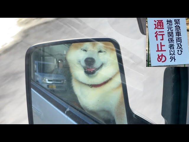 Shibe is turned back because of a flood-related landslide, but he still enjoys the view.