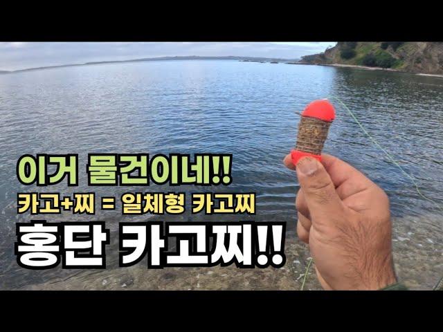 신기하게 잘 잡히는 채비가 나타났다!! 홍단 카고찌!! 카고와 찌가 결합된 일체형 카고찌를 소개합니다!!