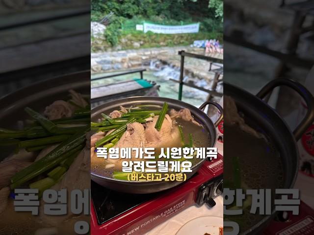 대전에서 20분 시원한 계곡‼️ #대전가볼만한곳 #food #대전근교계곡 #공주동학사