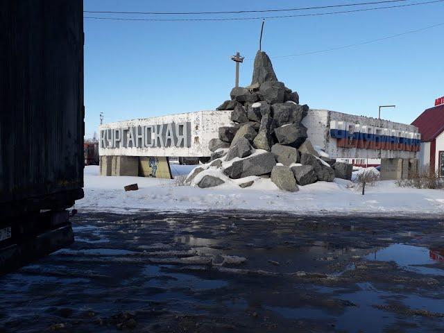 Снегопад даже лошадь застряла камеры