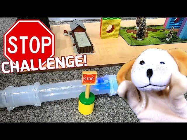 STOP Challenge! Excite Dog Takes the Zoom Tube Stop Challenge