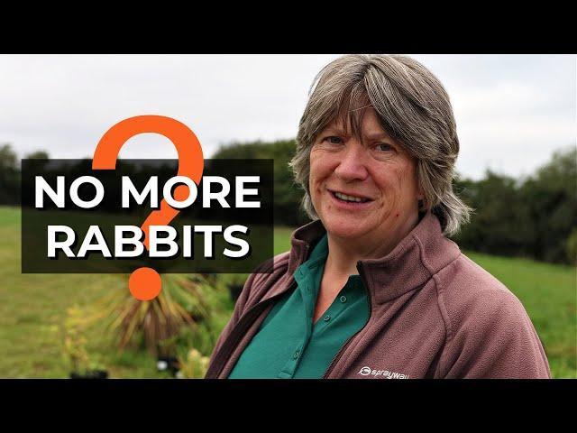 Rabbits eat EVERYTHING! | Installing rabbit proof fencing | Rabbits in the garden