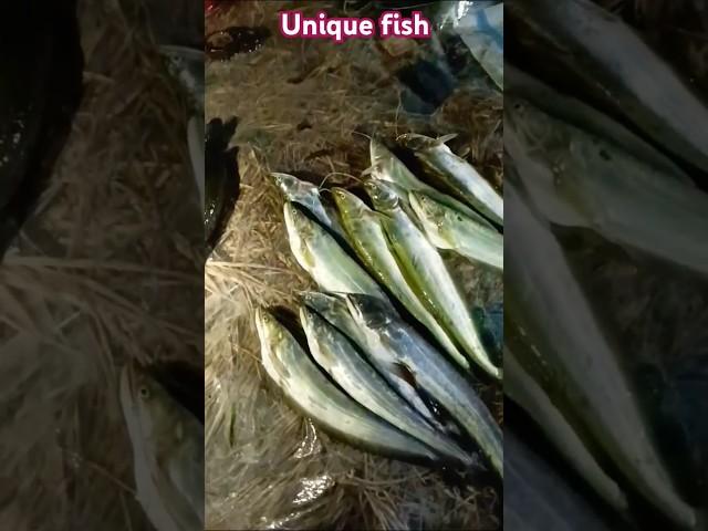 Village amazing fish@md-007 #shorts #youtubeshorts #shortvideo #viralvideo #fish #duet #youtube