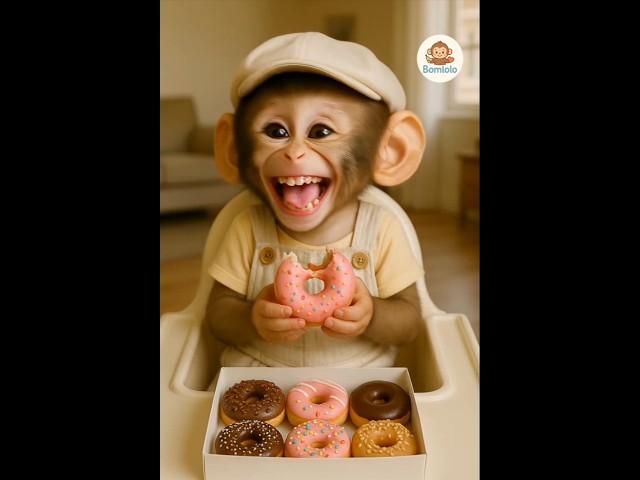 baby monkey eating Donut 