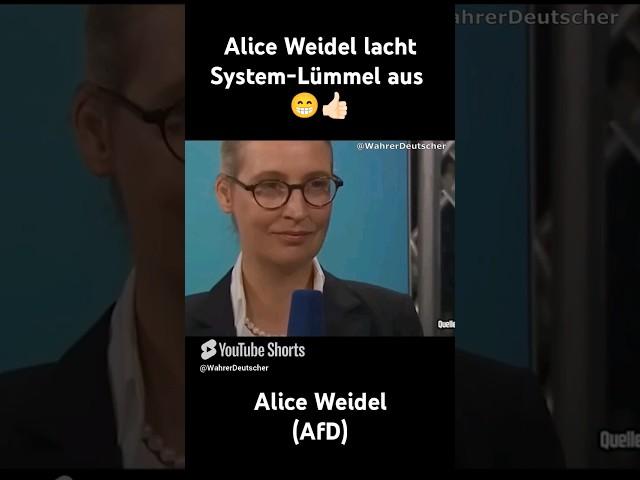 Alice Weidel lacht Systemling aus #afd #deutsch #deutschland #memes #politik #shorts #europa #funny