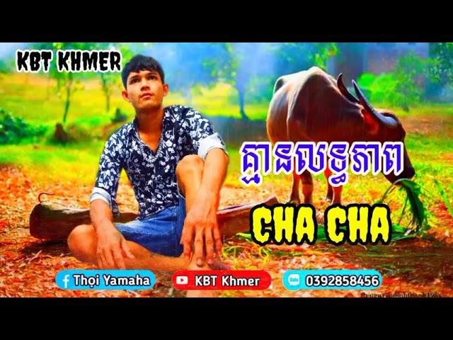 គ្មានលទ្ធភាព Cha Cha . អូននៅសែនឆ្ងាយ Cha Cha