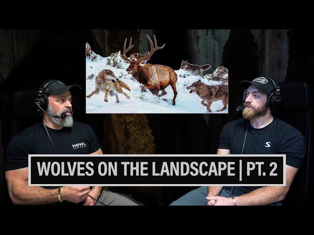 WOLVES ON THE LANDSCAPE | EFFECTS ON THE ECONOMY ️ EP. 878