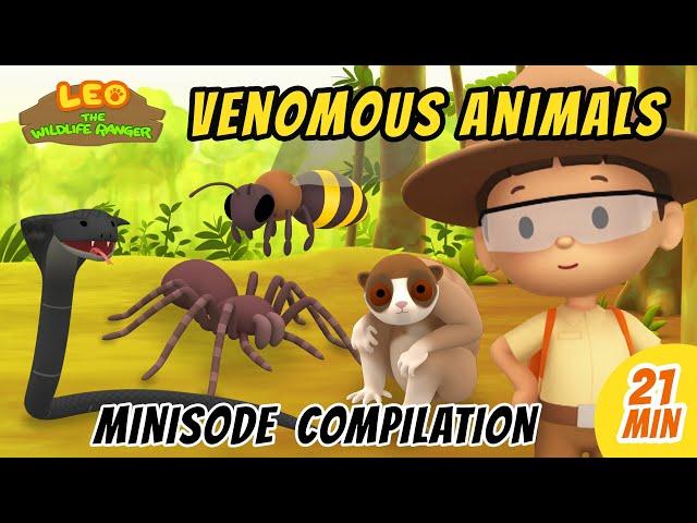 Venomous Animals Minisode Compilation - Leo the Wildlife Ranger | Animation | For Kids