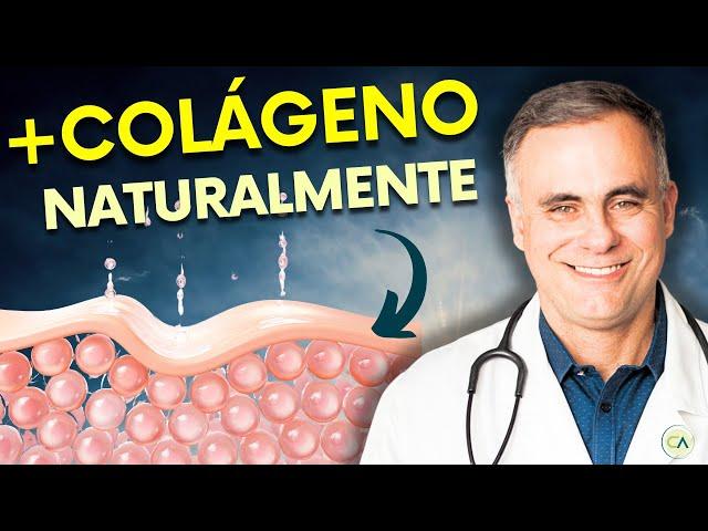 MAIS COLÁGENO Já! - Melhores Fontes Alimentares