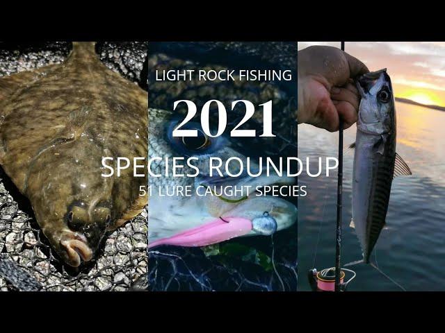 Light Rock Fishing - 2021 Species Roundup (51 Species)