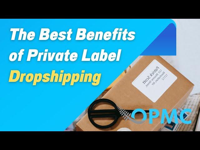 The Best Benefits of Private Label Dropshipping | Dropshipping Products