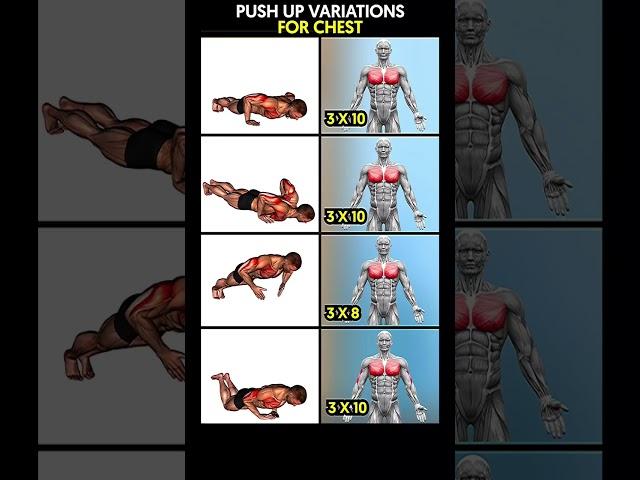 Different push ups you can do for your chest!!! #shorts #workout #youtube