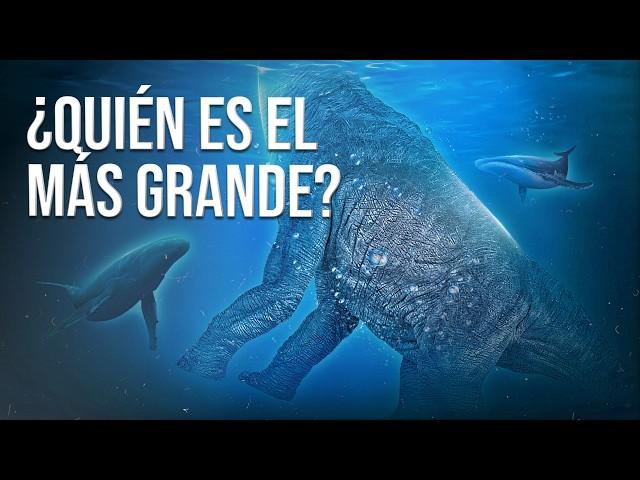 Animales Gigantes. ¿Por Qué Son Tan Grandes?