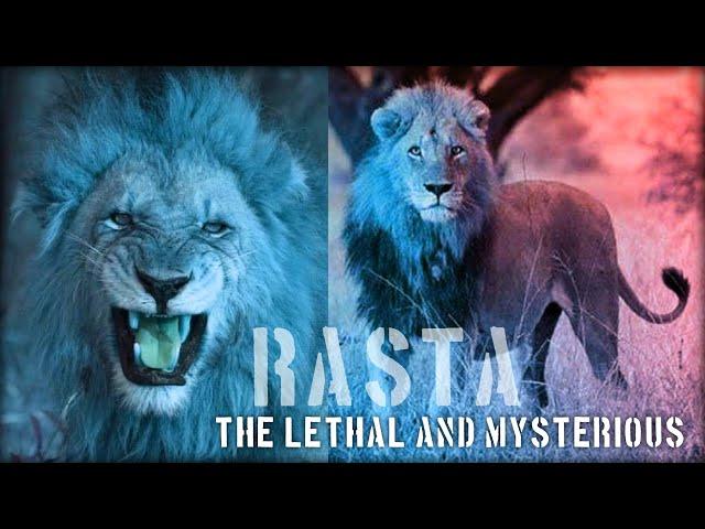 Rasta Mapogo | The Mysterious