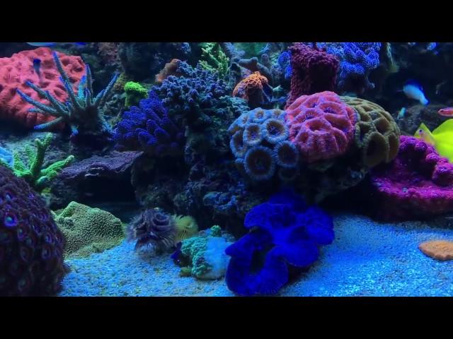 Shallow reefing 