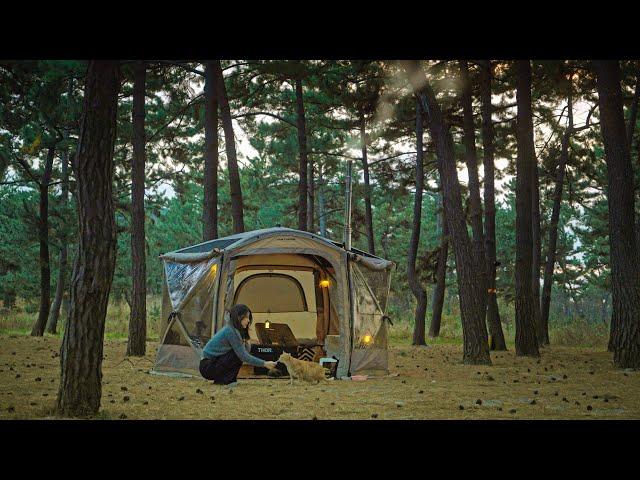 Cozy solo camping using a wood stove in the winter forest