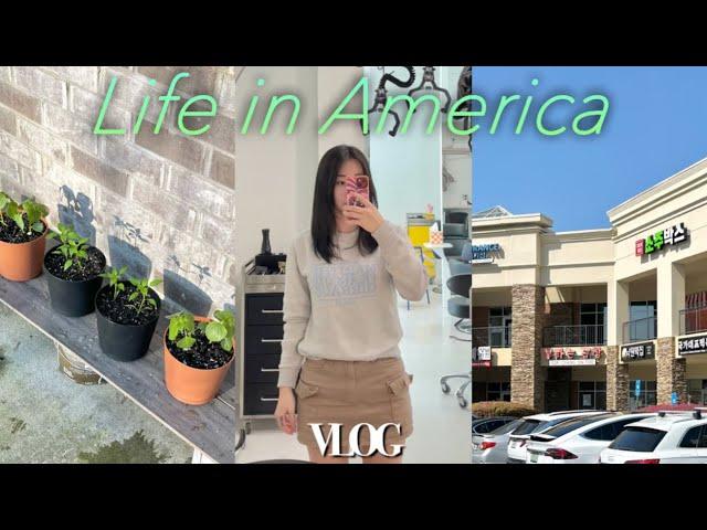 US vlog | 1시간걸려 한국다녀왔다구요! 흐흫 | 애틀랜타 헤어커트, 시온마트 장보기 | 첫 미국 치과 진료 🫠