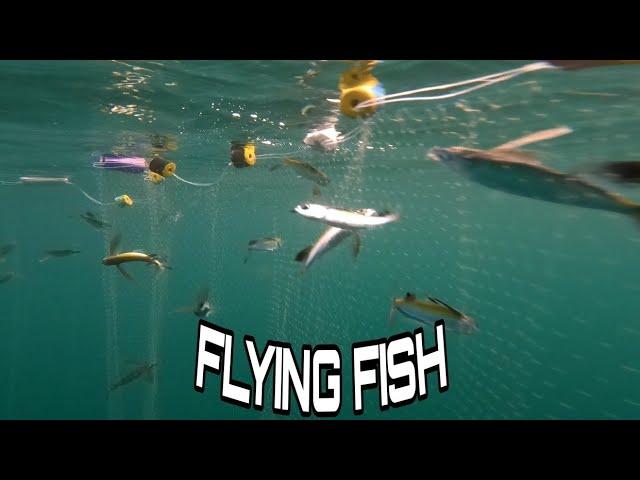 PAGULPOL/FLYING FISH ARYAHAN NA/2GLEG TV