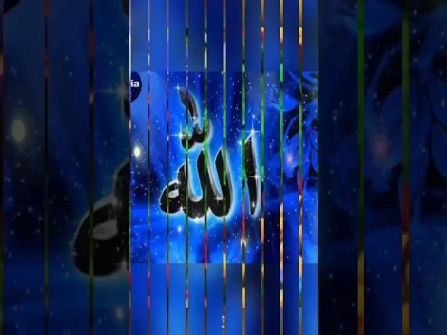 Allah Allah Allah Allah Allah Allah Allah Allah #mini bolak vidio