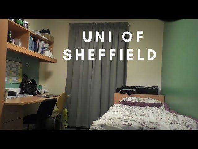 FIRST YEAR UNI ROOM TOUR - SHEFFIELD MEDICINE