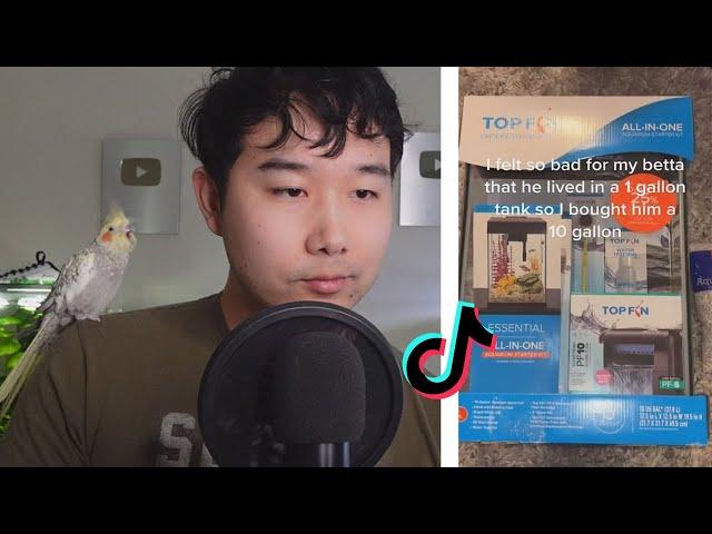 is this TikTok Fish Tank GOOD for BETTA FISH? | Fish Tank Review 202