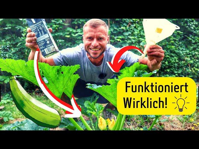 3 geniale Garten-Hacks zum  Nachmachen. 