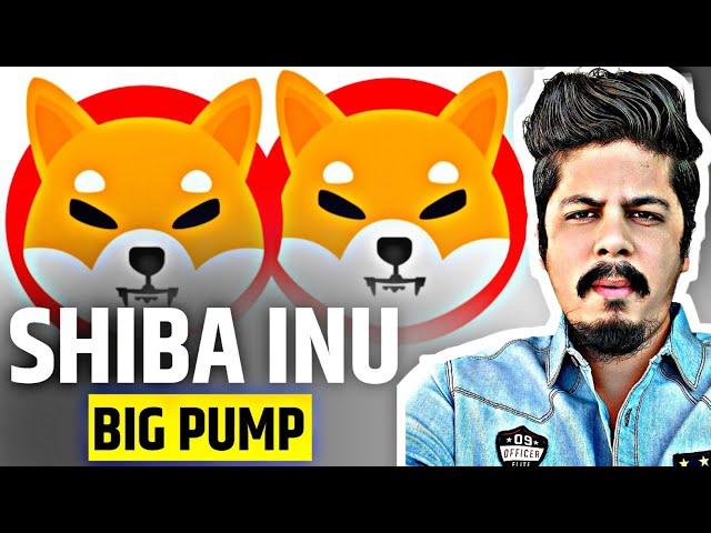 Shiba Inu Big Pump