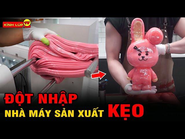  Đột Nhập Nhà Máy Sản Xuất 6 Loại Kẹo Nổi Tiếng Nhất Khiến Triệu Người Thèm Nhỏ Dãi | Kính Lúp TV