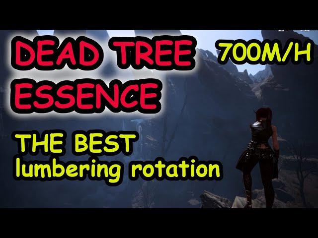 Garmoth Dead tree essence rotation  - best gathering at the moment up to 700m/h