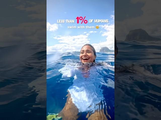 Having swam with Blue Whales, Humpbacks & Sperm whales, guess I belong to 0.0001% of humans? #diving