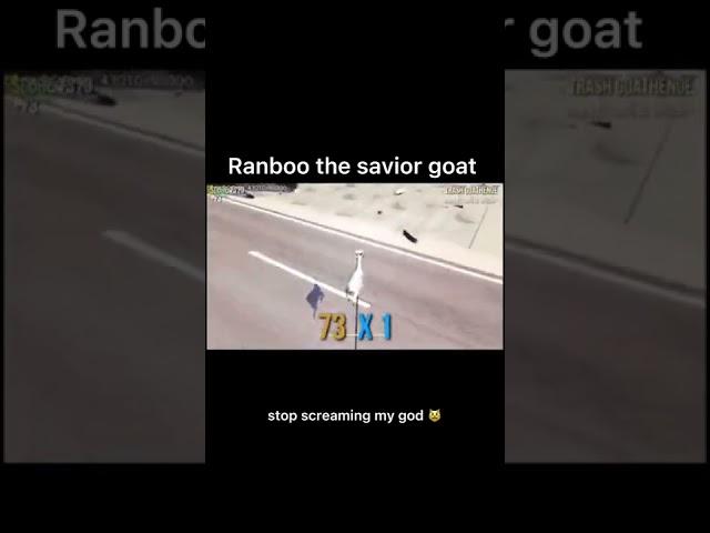 Ranboo the savior goat #shorts