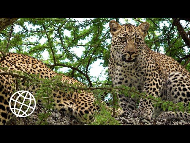 Serengeti National Park, Tanzania  [Amazing Places 4K]